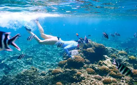 Snorkeling in Hurghada’s Red Sea
